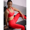 Nike Women’s Indy Sports Bra (High Support)(Light Crimson)