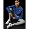 Nike Women’s Court Vision Low Next Nature Shoes(Vast Grey/Dark Raisin/White/Anthracite)