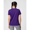 Nike Women’s Dri-fit Women’s T-Shirt(Court Purple)