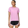 Light Magenta/White