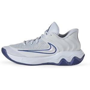 Nike Unisex Adult Giannis Immortality 4 Basketball Shoes(Wolf Grey/Metallic Platinum/Pure Platinum)