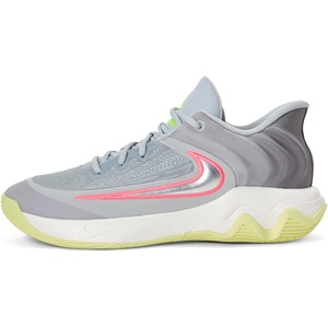 Nike Unisex Adult Giannis Immortality 4 Basketball Shoes(Wolf Grey/Metallic Silver/Summit White)