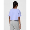 Nike Girls’ Sportswear Cropped T-Shirt (Large Swoosh Logo)(Light Thistle)