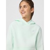 Nike Kids’ Sportswear Club Fleece Pullover Hoodie(Barely Green/White)
