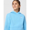 Nike Kids’ Sportswear Club Fleece Pullover Hoodie(Football Blue/White)