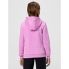 Nike Kids’ Sportswear Club Fleece Pullover Hoodie(Light Magenta/White)