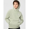 Nike Kids’ Sportswear Club Fleece Pullover Hoodie(Spruce Fog/White)