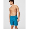 Nike Men’s 9″ Volley Shorts(Green Abyss)