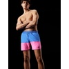 Nike Men’s Nike Swim 5″ Brief- Lined Volley Short(Blue Crystal)
