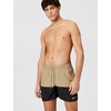 Nike Men’s Nike Swim 5″ Brief- Lined Volley Short(Parachute Beige)