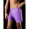 Nike Men’s Nike Swim Breaker Essential 5″ Brief-Lined Volley Short(Bright Violet)