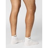 Nike Unisex Adult Everyday Cushioned Training Low Socks (3-Pack) | Mens and Womens(Multicolor)