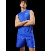 Nike Unisex Adult Sleeveless Hydroguar(Game Royal)