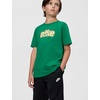 Nike Unisex Big Kids’ Sportswear Club Celebrate Sport T-Shirt – Boys and Girls(Malachite)