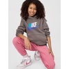 Nike Unisex Big Kids’ Sportswear Club Fleece Hoodie – Boys and Girls Sweatshirt(Cave Stone)