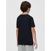 Nike Unisex Big Kids’ Sportswear Club Multi Sport T-Shirt – Boys and Girls(Black)