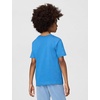 Nike Unisex Big Kids’ Sportswear Club Summer Camp T-Shirt – Boys and Girls(Star Blue)