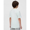 Nike Unisex Big Kids’ Sportswear Club T-Shirt – Boys and Girls(Barely Green/White)