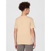 Nike Unisex Big Kids’ Sportswear Club T-Shirt – Boys and Girls(Linen)