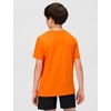Nike Unisex Big Kids’ Sportswear Club World Cup T-Shirt – Boys and Girls((Netherlands) Safety Orange)