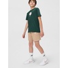 Nike Unisex Big Kids’ Sportswear Club World Cup T-Shirt – Boys and Girls((Nigeria) Pro Green)