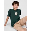 Nike Unisex Big Kids’ Sportswear Club World Cup T-Shirt – Boys and Girls((Nigeria) Pro Green)