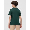 Nike Unisex Big Kids’ Sportswear Club World Cup T-Shirt – Boys and Girls((Nigeria) Pro Green)