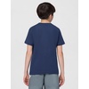 Nike Unisex Big Kids’ Sportswear Club World Cup T-Shirt – Boys and Girls((Usa) Midnight Navy)