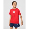 Nike Unisex Big Kids’ Sportswear Club World Cup T-Shirt – Boys and Girls((Usa) University Red)