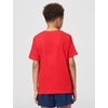 Nike Unisex Big Kids’ Sportswear Club World Cup T-Shirt – Boys and Girls((Usa) University Red)