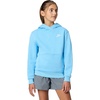 Nike Kids’ Sportswear Club Fleece Pullover Hoodie(Football Blue/White)