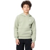 Nike Kids’ Sportswear Club Fleece Pullover Hoodie(Spruce Fog/White)