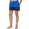 Nike Men’s Nike Swim 5″ Brief- Lined Volley Short(Game Royal)