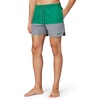 Nike Men’s Nike Swim 5″ Brief- Lined Volley Short(Malachite)