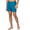 Nike Men’s Nike Swim Breaker Essential 5″ Brief-Lined Volley Short(Green Abyss)