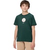 Nike Unisex Big Kids’ Sportswear Club World Cup T-Shirt – Boys and Girls((Nigeria) Pro Green)