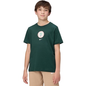 Nike Unisex Big Kids’ Sportswear Club World Cup T-Shirt – Boys and Girls((Nigeria) Pro Green)