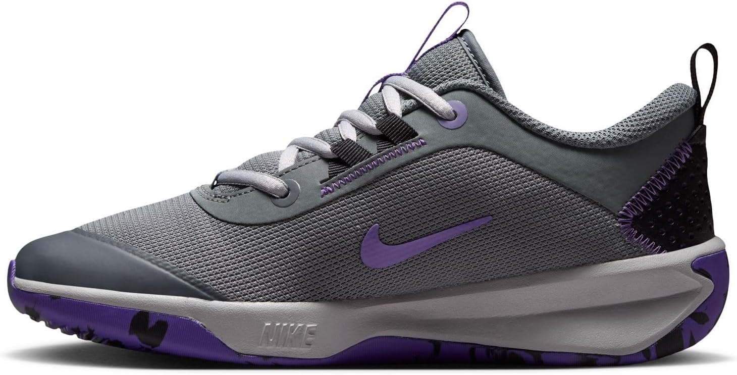image:imageNike Unisex Kids MultiCourt Shoes Boys and Girls SneakersSmoke GreyMetallic Goldaction Grape