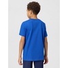 Nike Unisex Big Kids’ Club Baseball T-Shirt – Boys and Girls(Game Royal)