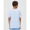Nike Unisex Big Kids’ Club Baseball T-Shirt – Boys and Girls(Hydrogen Blue)