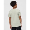 Nike Unisex Big Kids’ Club Basketball T-Shirt – Boys and Girls(Spruce Fog)