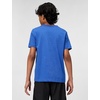 Nike Unisex Big Kids’ Club Soccer T-Shirt – Boys and Girls(Game Royal)