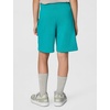 Nike Unisex Big Kids’ Sportswear Club Fleece French Terry Shorts – Boys and Girls(Energy/White)