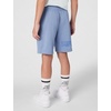 Nike Unisex Big Kids’ Sportswear Club Fleece French Terry Shorts – Boys and Girls(World Indigo/White)