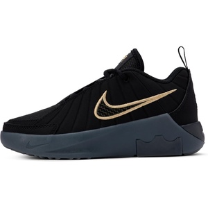 Nike Unisex Kids’ Lebron Witness IX Basketball Shoes – Boys and Girls Sneakers(Black/Black/Iron Grey/Dark Smoke Grey)