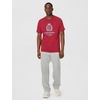 Nike Men’s Sportswear T-Shirt; Graphic Tee Shirt(Tough Red)
