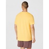Nike Men’s Logo Sportswear T-Shirt(Topaz Gold)