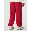 Nike Men’s Sportswear Club Fleece Bungee Pants(Tough Red/Tough Red/White)