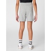 Nike Unisex Big Kids’ Sportswear Club Fleece French Terry Shorts (Big Logo) – Boys and Girls(Dark Grey Heather)