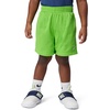 Nike Kids’ Multi Dri-FIT Mesh Shorts(Mean Green/White)